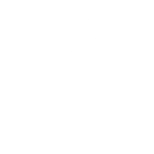Boston Elite Sports Training